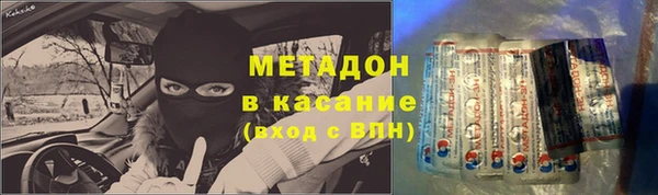 прущие грибы Бронницы