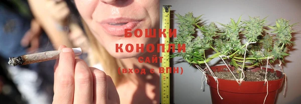 сатива Бугульма
