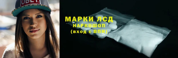 сатива Бугульма