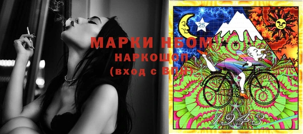 mdpv Бородино