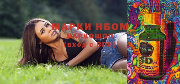 прущие грибы Бронницы