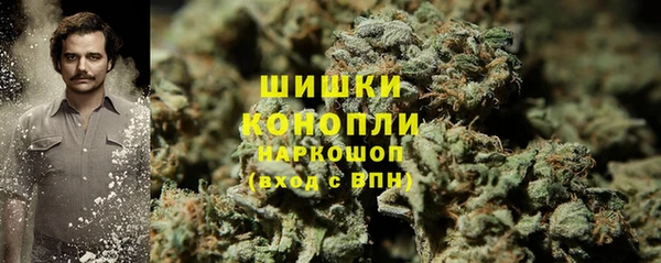 прущие грибы Бронницы