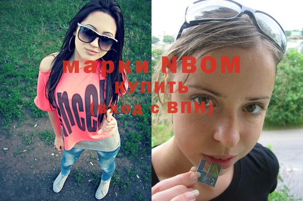прущие грибы Бронницы