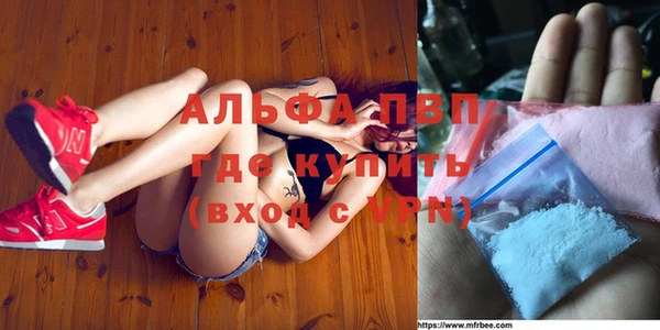mdpv Бородино