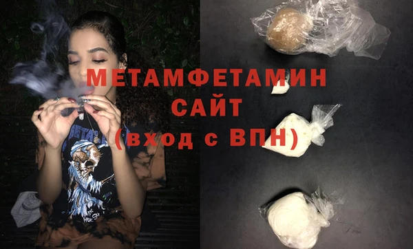 прущие грибы Бронницы