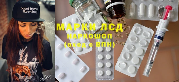 прущие грибы Бронницы