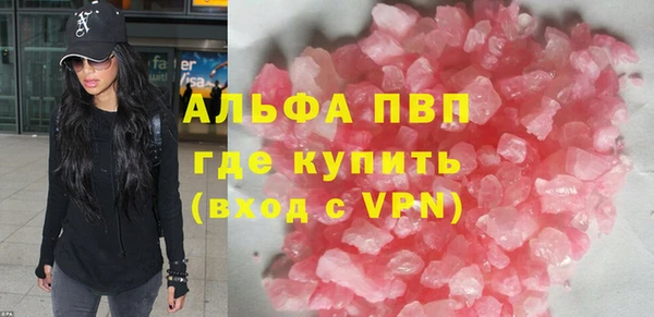 прущие грибы Бронницы