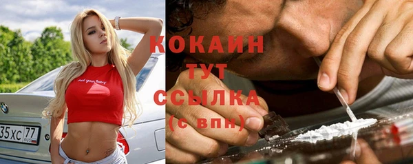 mdpv Бородино