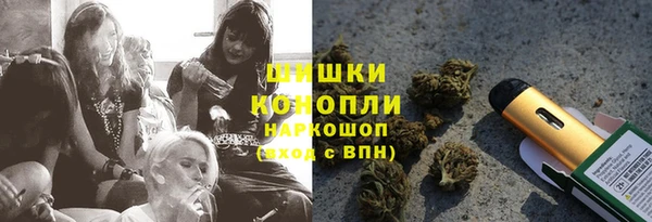 сатива Бугульма