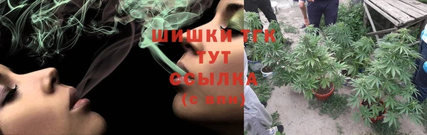 прущие грибы Бронницы