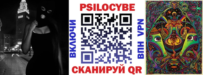 Купить закладки Ржев Псилоцибиновые грибы Psilocybe